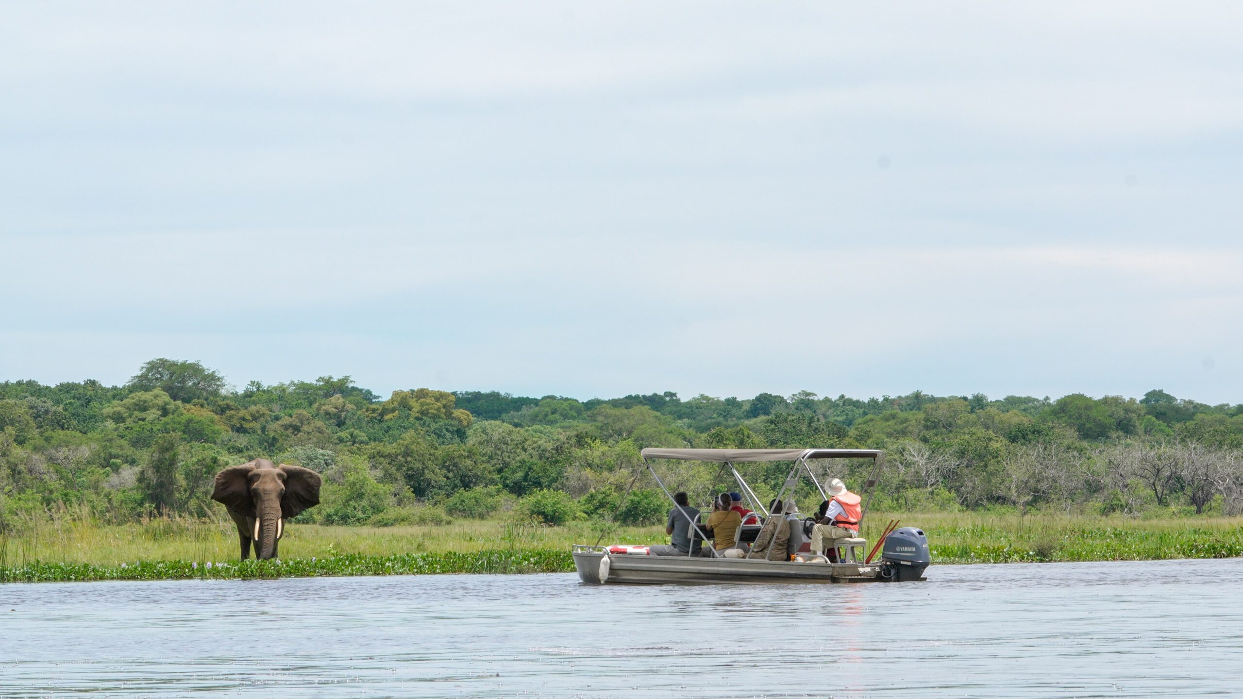 BOAT TRIPS IN UGANDA