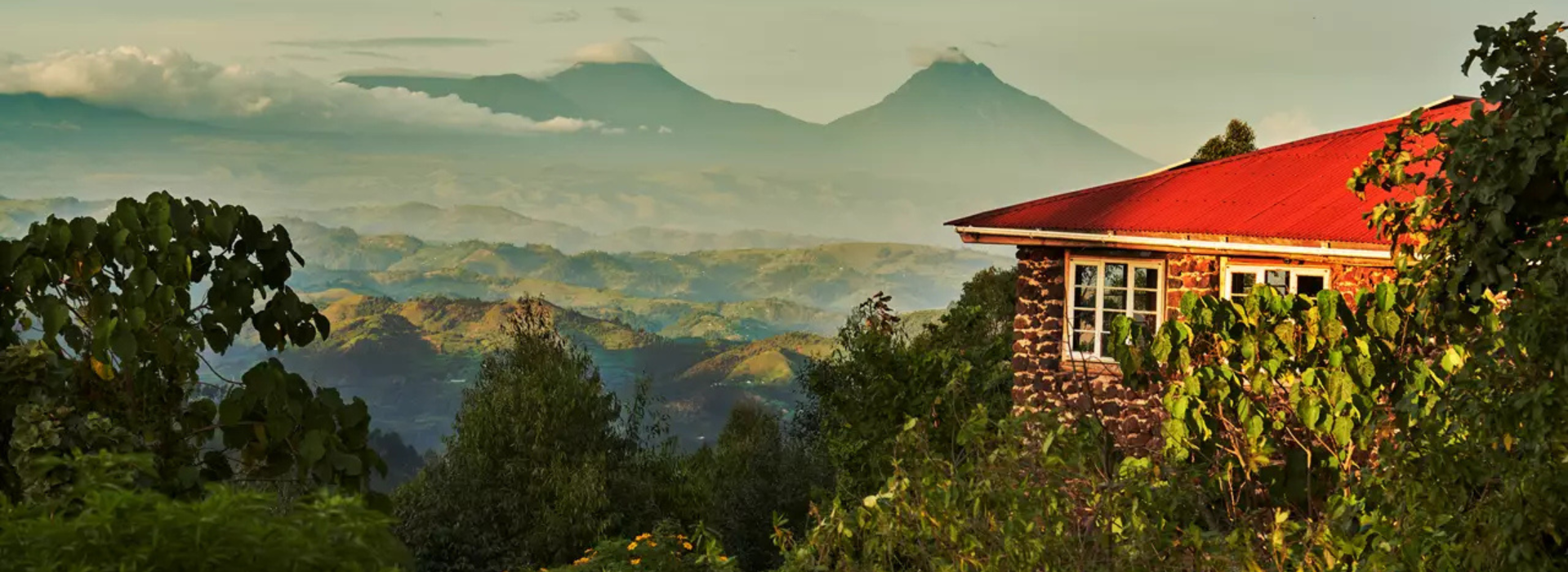 4 DAYS DOUBLE GORILLA TREKKING IN BWINDI